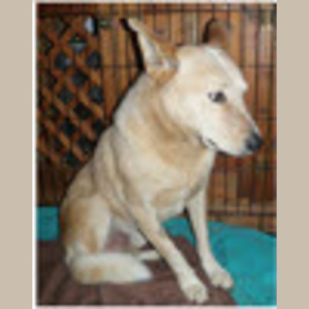 Photo of Scoota