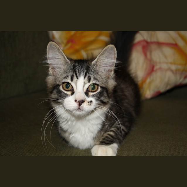 Photo of Polly