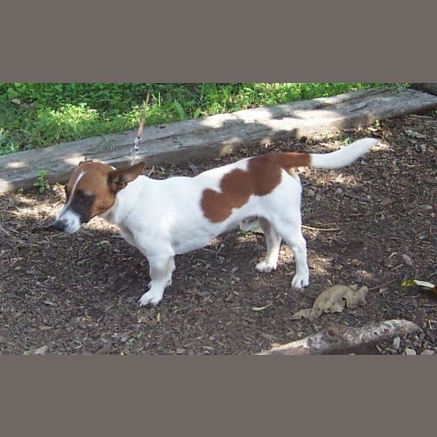Photo of Morris