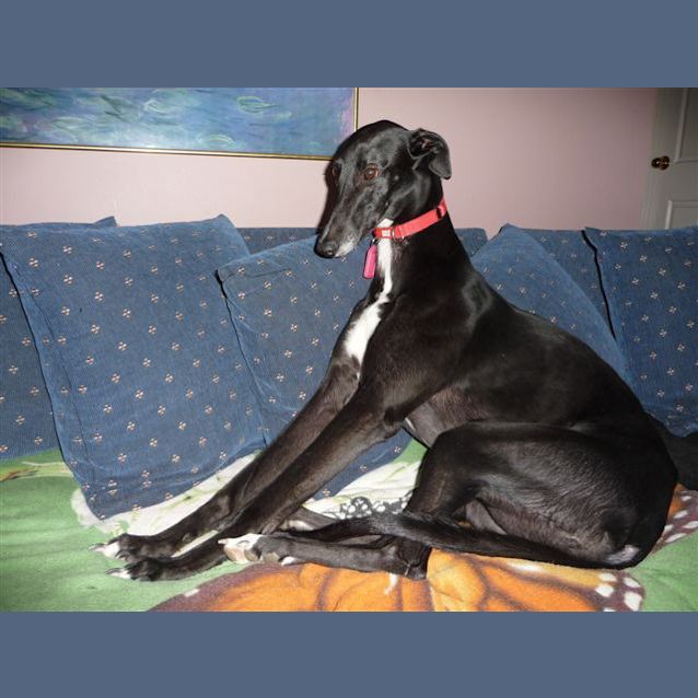 Photo of Rita   Checking Out Her New Home