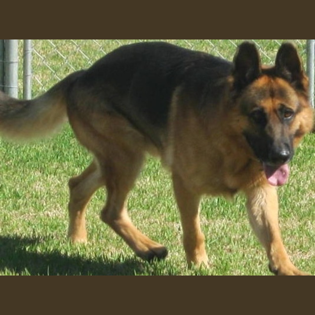 Photo of Brock Is On Trial With His New Family