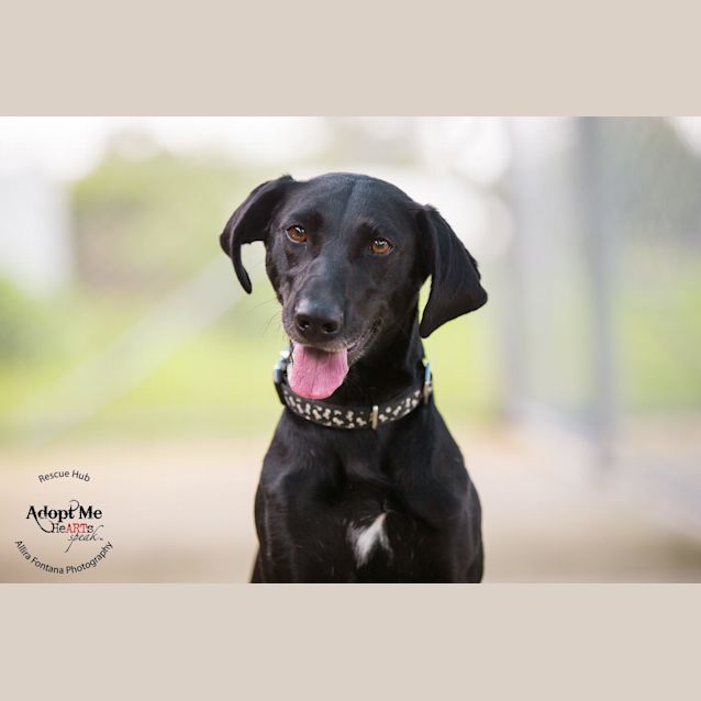 Photo of Leslie (Pcc 174)