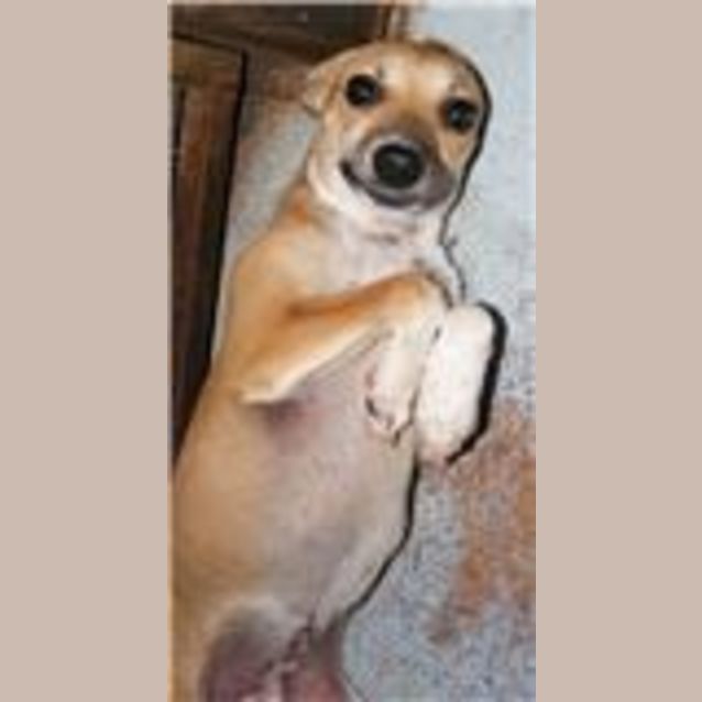 Photo of Bobi