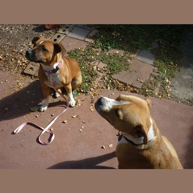 Photo of Betty