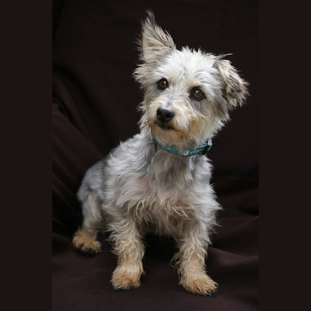 Photo of Jethro