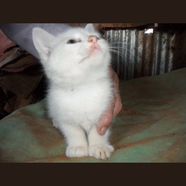 Photo of Maisy