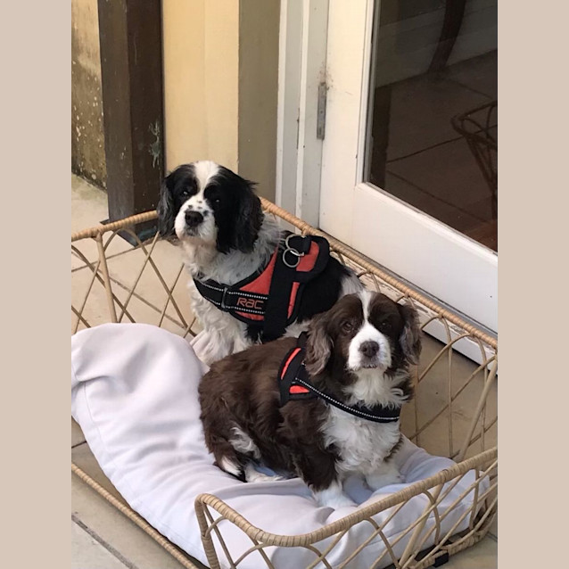 Photo of Ruby & Jemma 