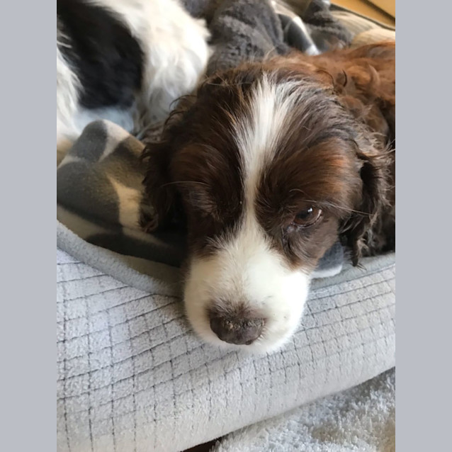 Photo of Ruby & Jemma 