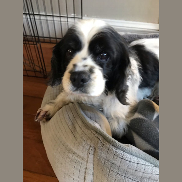 Photo of Ruby & Jemma 