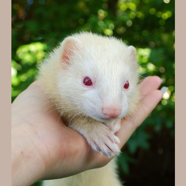 Photo of Buffy
