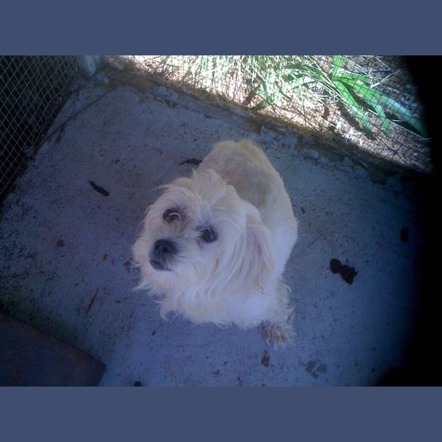 Photo of Daisy