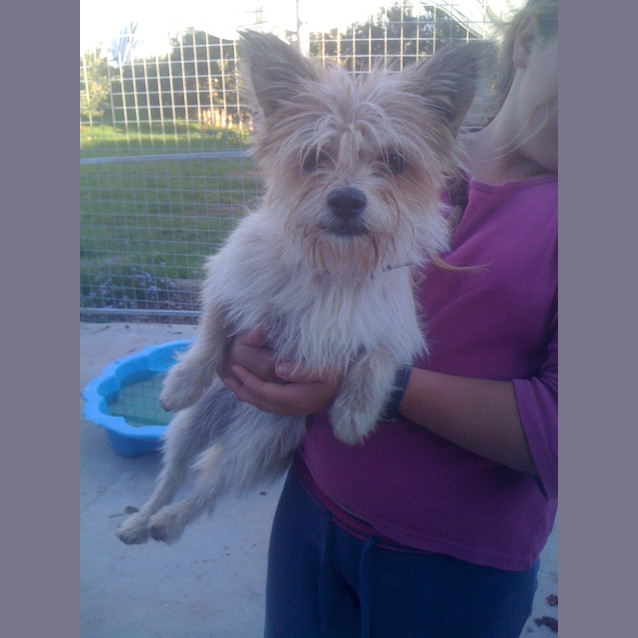 Photo of Pippa