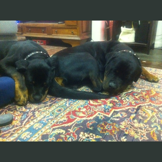 Photo of Jett & Busta