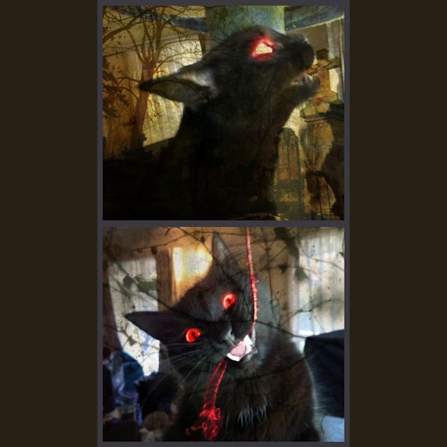 Photo of Jigsaw & Gideon   Finally Home <3