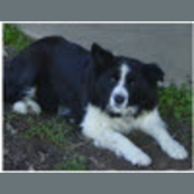 Photo of Jess