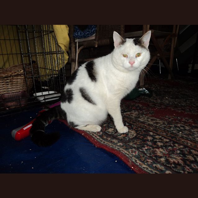Photo of Bobby