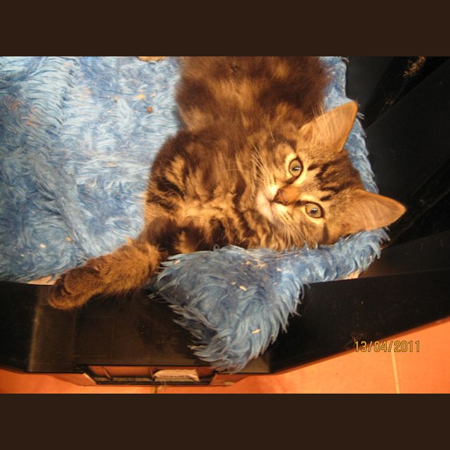 Photo of Araminata Ditch