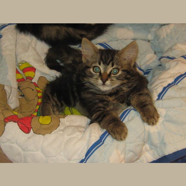 Photo of Araminata Ditch