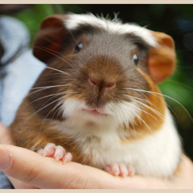 Photo of Tiny