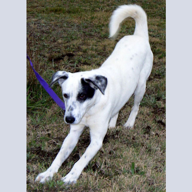 Photo of Keeta