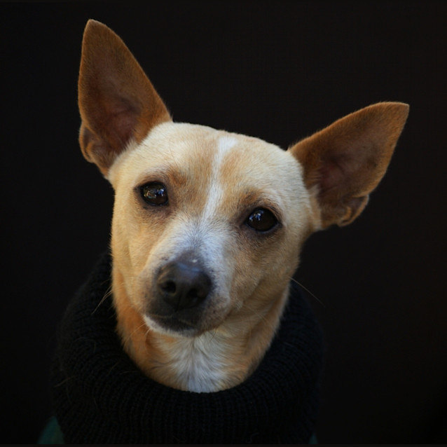 Photo of Slim