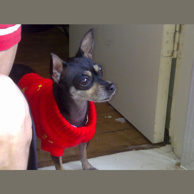 Photo of Lolita Adopted