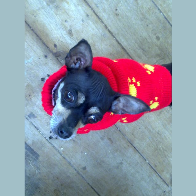 Photo of Lolita Adopted