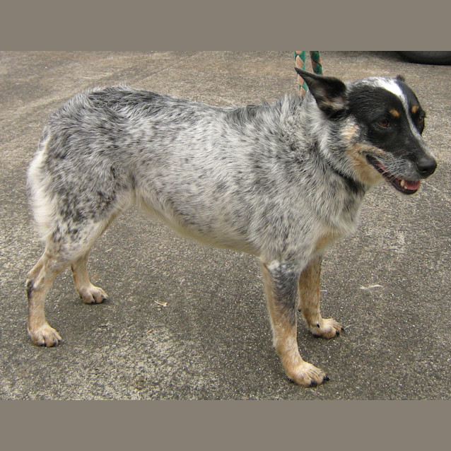 Photo of Zoe (On Trial)