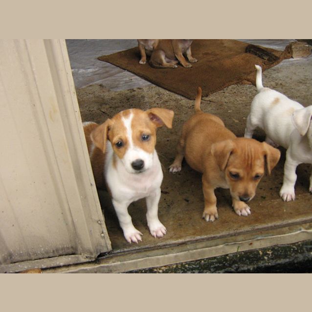 Photo of Bieber(on Trial)