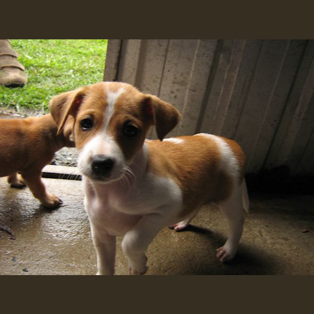 Photo of Jos (On Trial)