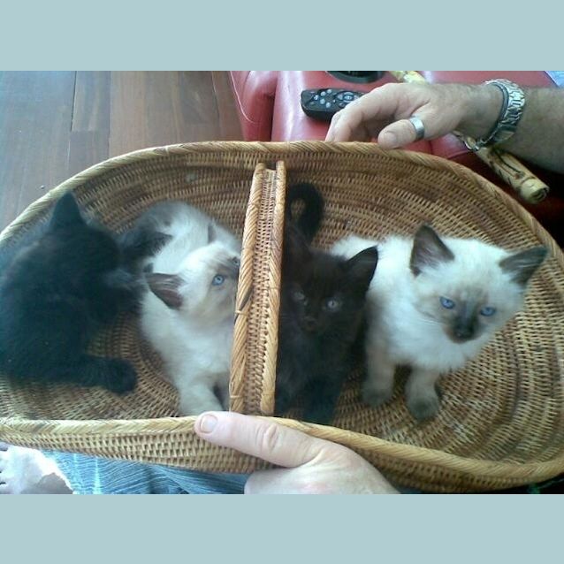 Photo of Kolby, Lacey, Gus And Chuck