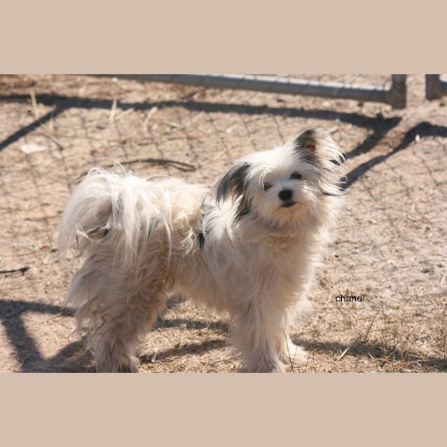 Photo of Tiffany   On Hold