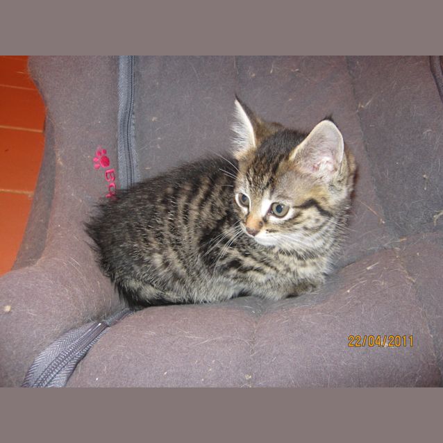 Photo of Mississippi