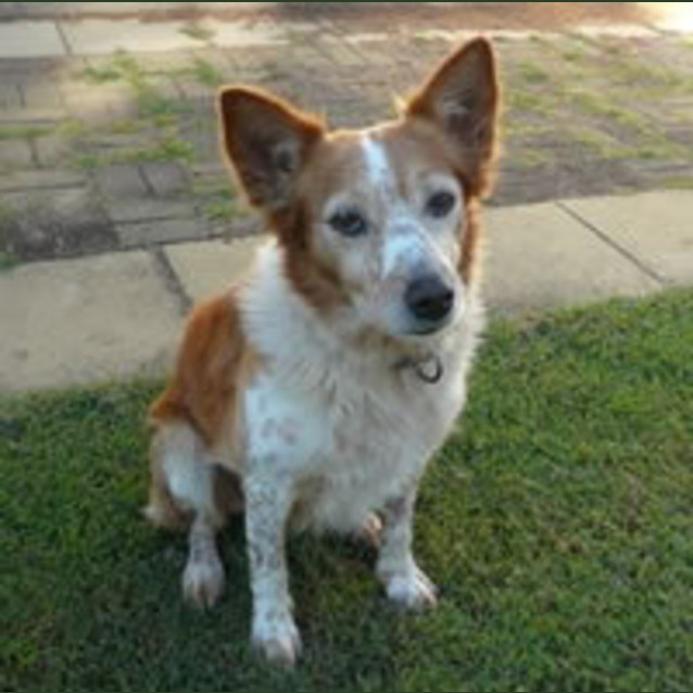 Photo of Max
