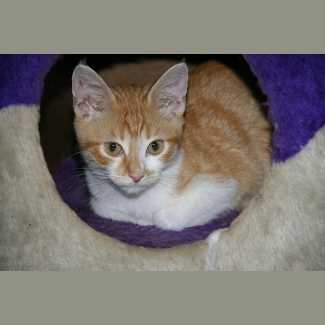 Photo of Fraggle