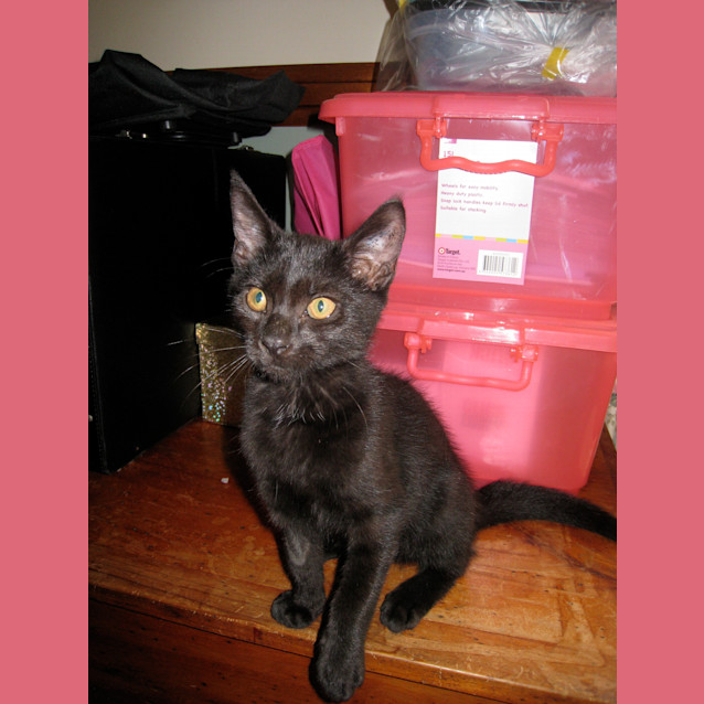 Photo of Winston