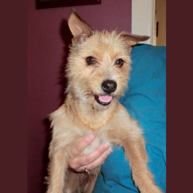 Photo of Zoe *On Trial*