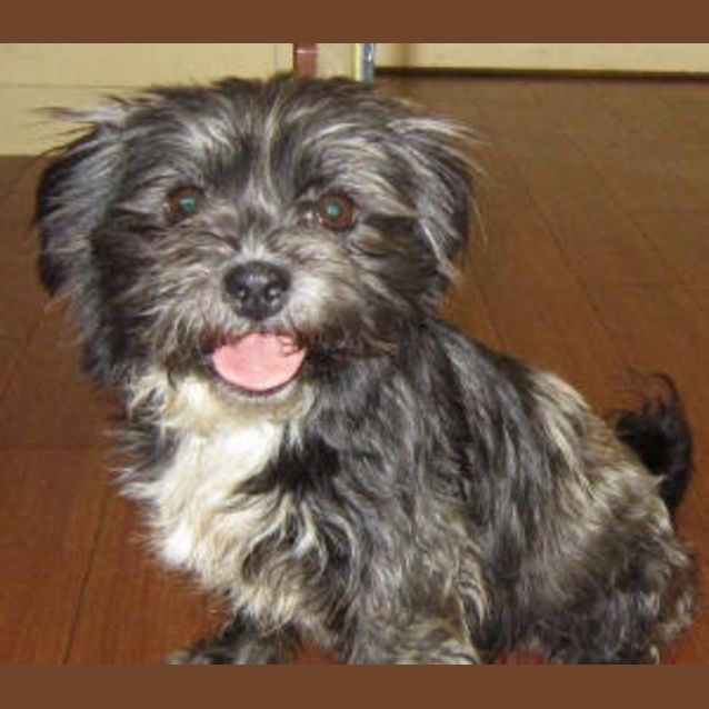 Photo of Ginny