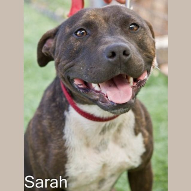 Photo of Sarah