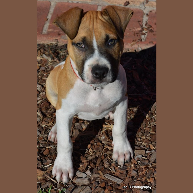 Photo of Prince ** A Special Boy **