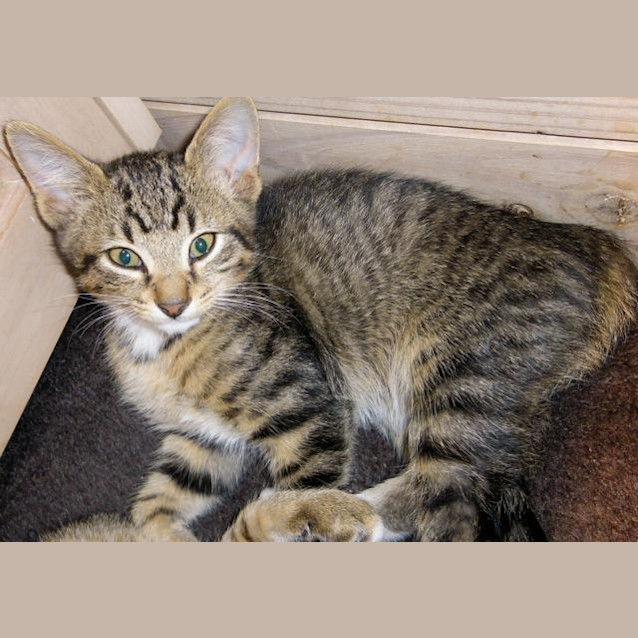 Photo of Sammy