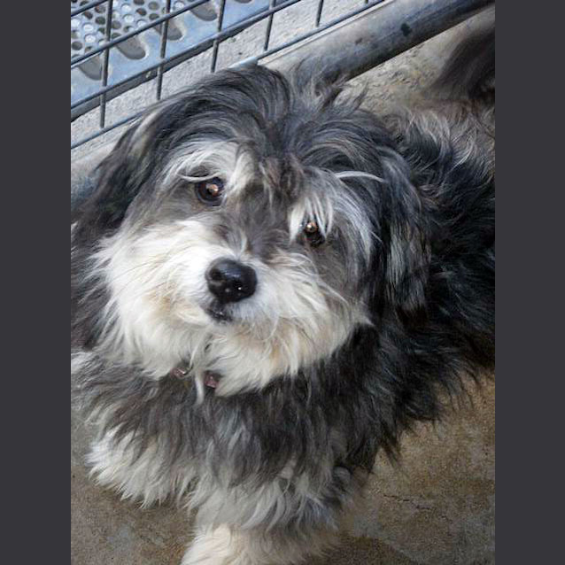 Photo of Bella