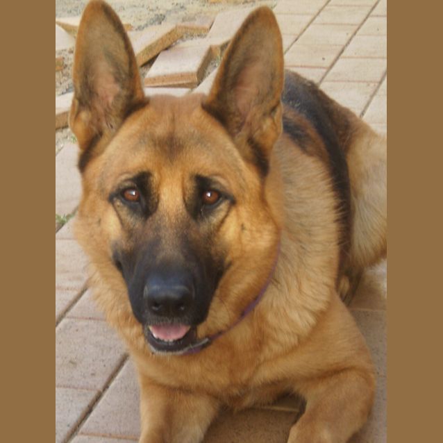 Photo of Molly Is On Trial With Her New Family