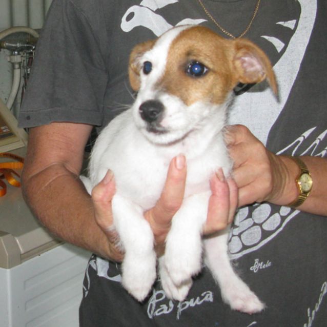 Photo of Jed