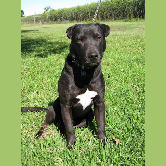 Photo of Zephyr