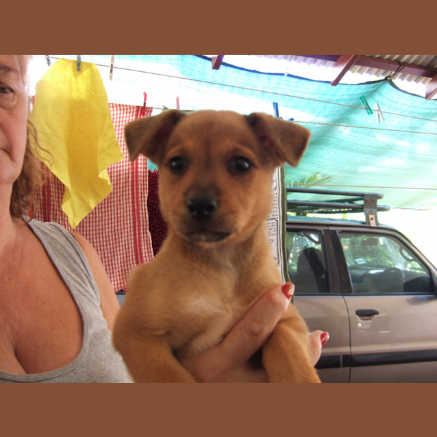 Photo of Rambo