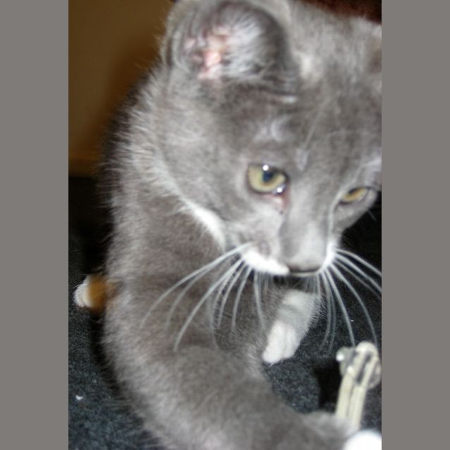 Photo of Charlie