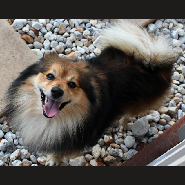 Photo of Sammy