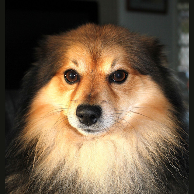 Photo of Sammy