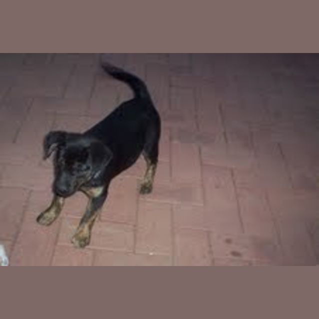 Photo of Bindy * On Trial *